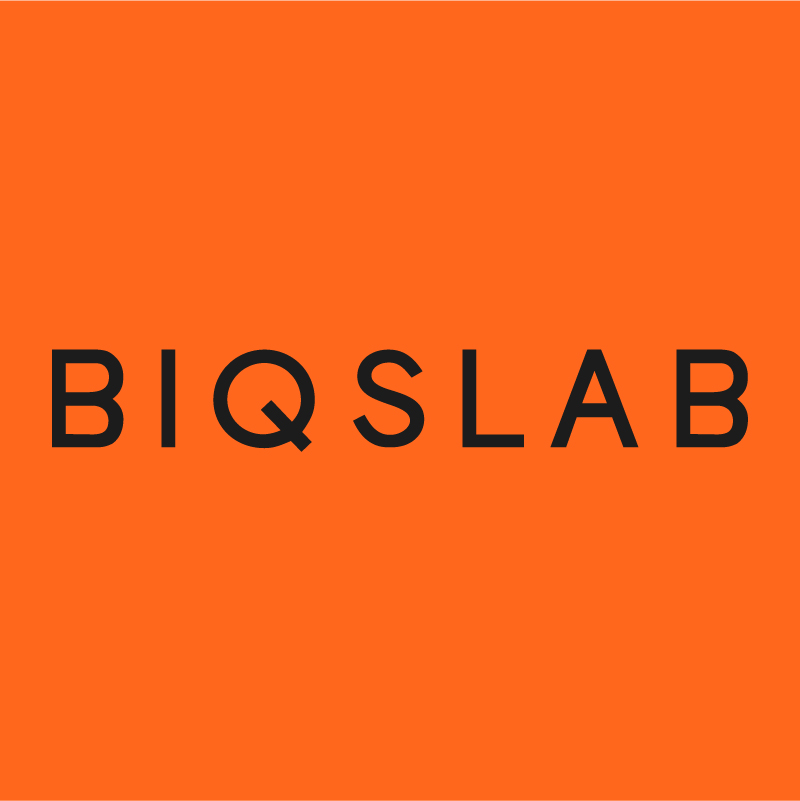 Biqslab Logo Siyah